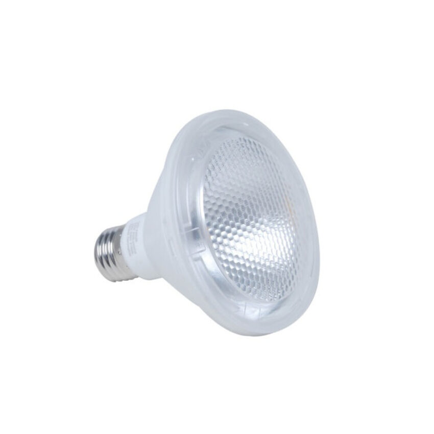 LV Luce 10W LED Globe PAR30 (2x)