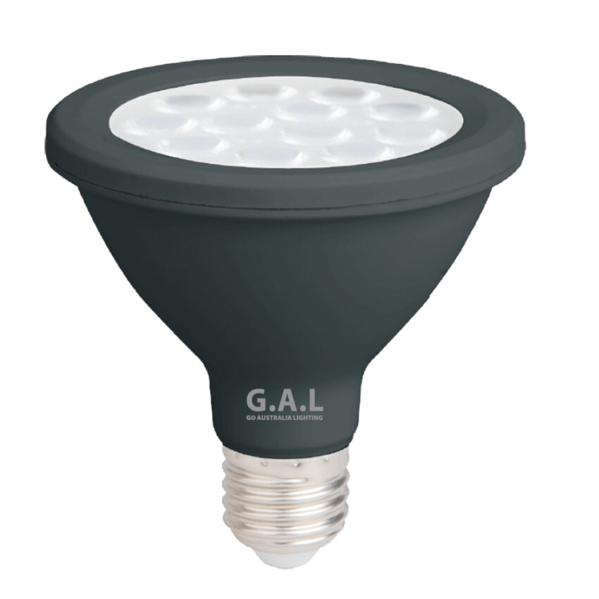 G.A.L 12W LED Globe PAR30 (2x)