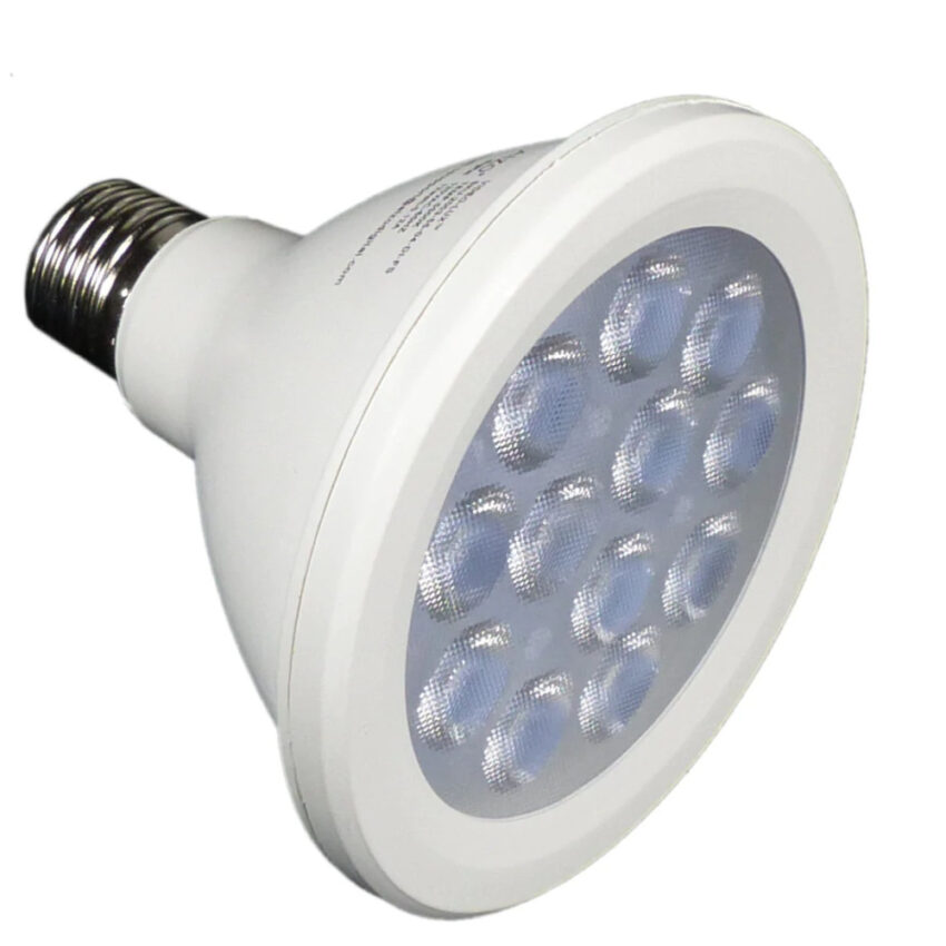 G.A.L 12W LED Globe PAR30 (2x)