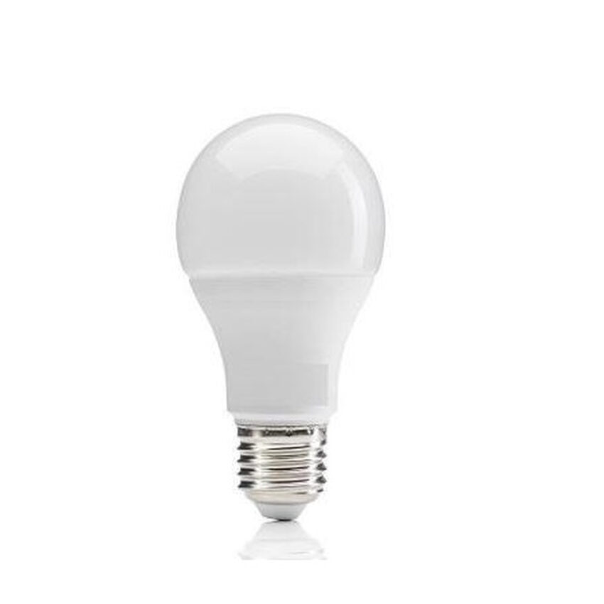 Big Boss LED 12W (Input AC/ DC 12V) Light Globes Bulbs Lamps - A60 GLS Screw E27 Daylight 6500K (Bulk Pack X 10 Pieces)
